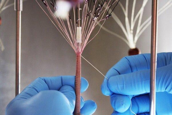 جایگزینی رگ های خونی با نخ های زیستی قابل بافت