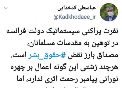 نفرت پراکنی سیستماتیک دولت فرانسه، مصداق شاخص نقض حقوق بشر است