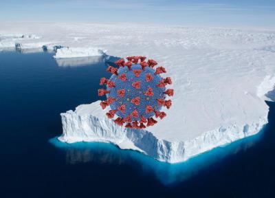 کرونا به قطب جنوب هم رسید ، از بین رفتن شانس ایمنی گله ای با ویروس انگلیسی