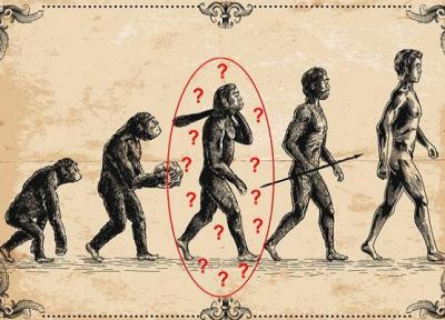 اجداد انسان میمون ها نیستند