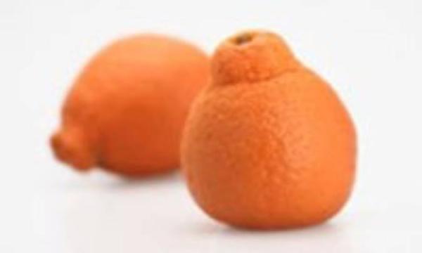 حقایقی از خواص تغذیه ای نارنگی تانجلو Tangelos
