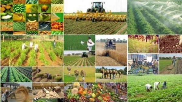 بهره برداری از 9 طرح کشاورزی در سیرجان