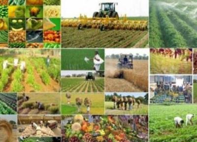 بهره برداری از 9 طرح کشاورزی در سیرجان