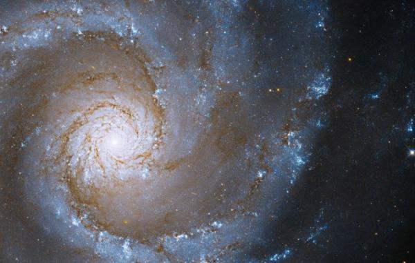 تلسکوپ هابل ترافیک ستارگان را در یک کهکشان رصد کرد