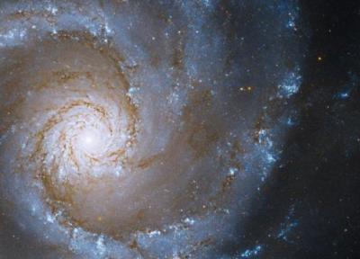 تلسکوپ هابل ترافیک ستارگان را در یک کهکشان رصد کرد