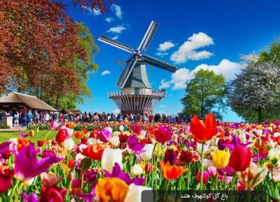 باغ گل کوکنهوف؛ یکی از پارک های مجذوب کننده و دیدنی هلند