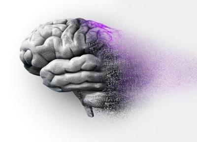 امیدی تازه برای درمان آلزایمر: ارسال آنتی بادی به درون مغز