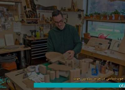 راهنمای چوب شناسی برای انتخاب حرفه ای سرویس چوب